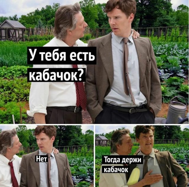Бенедикту Камбербэтчу отдали кабачок. Надеемся, в его мультивселенных безумия он найдет ему применение