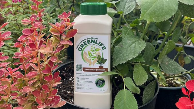 Органические удобрения помогут оживить участок — сила экологичного садоводства