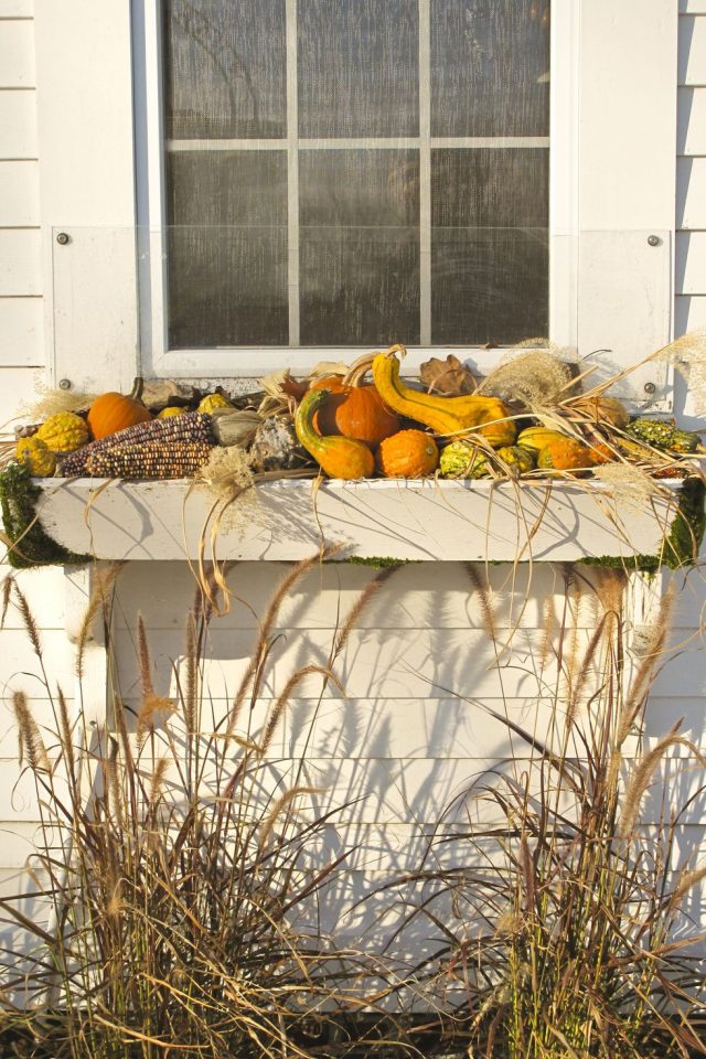 Декор оконного ящика овощами и сеном Декор оконного ящика овощами и сеном