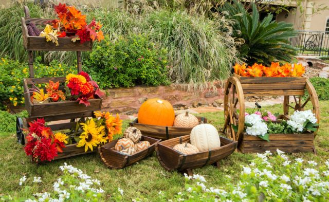 Тыквы хороши и в качестве осенней композиции у дома Тыквы хороши и в качестве осенней композиции у дома