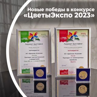 Мурагон, Г и Сера 400, КС стали золотой парой на конкурсе «ЦветыЭкспо 2023» Мурагон, Г и Сера 400, КС стали золотой парой на конкурсе «ЦветыЭкспо 2023»