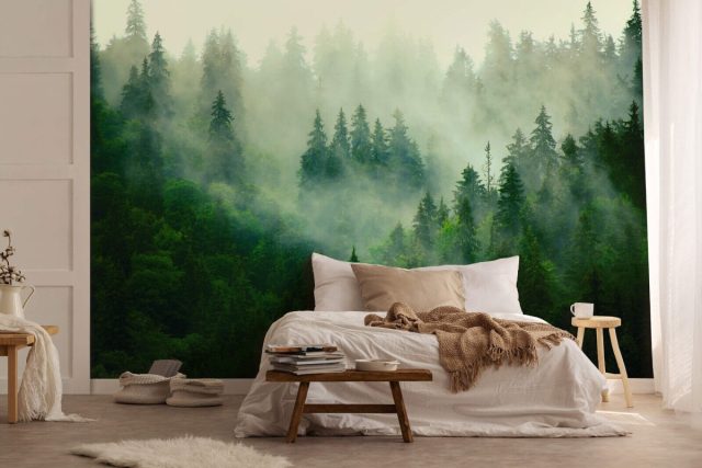 Романтичен туманный лес по утрам, а если дополнить его ароматическими палочками, то будет просто идеально