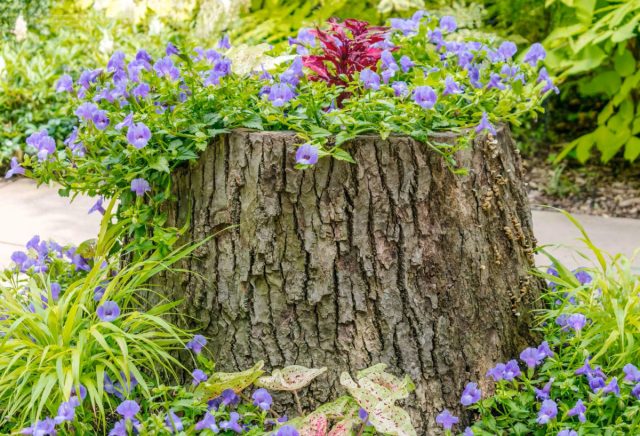 Использование пенька в качестве основы для клумбы 