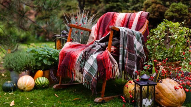 Можно ли под зиму сеять овощи, или Как бороться со скукой в конце дачного сезона