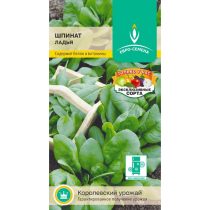 Шпинат сорта «Ладья» - раннеспелый, от всходов до уборки 30 дней