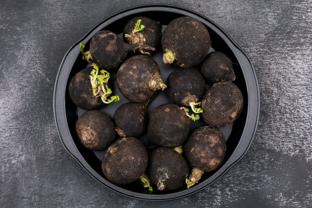 Чёрная редька была самой распространённой культурой на Руси в течение многих веков