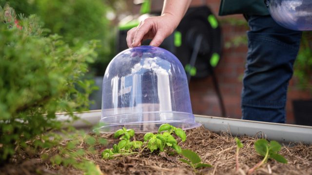 Подбираем укрытие на зиму — 7 способов утеплить многолетники