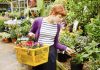 Дорогие и проблемные: 10 редких комнатных растений, которые не стоят своих денег