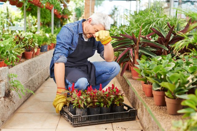 Почему вам не нужна дача, или Минусы садоводства
