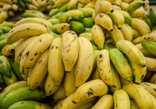 Самый популярный сорт банана может исчезнуть. 
