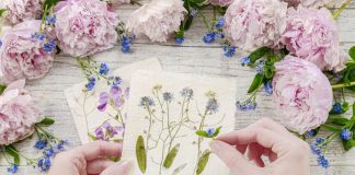 Вечная красота: 8 идей для сухоцветов