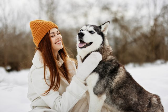 Как гулять с собакой зимой — основные правила зимних прогулок с питомцем