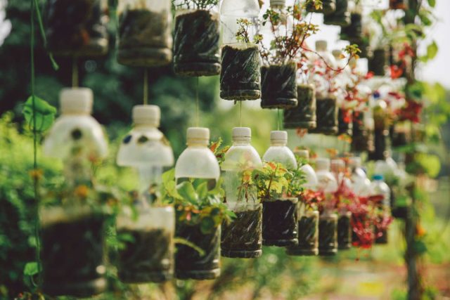 Вы можете превратить пустые бутылки из-под газировки в вертикальный сад, используя простые подручные инструменты