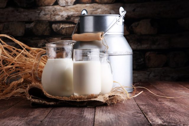Настало время разрушить некоторые распространённые мифы, благодаря которым козье молоко стало считаться невероятным продуктом