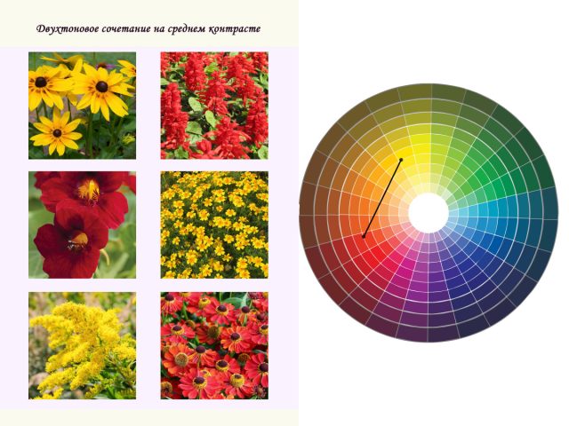 Двухтоновое сочетание на среднем контрасте тона
