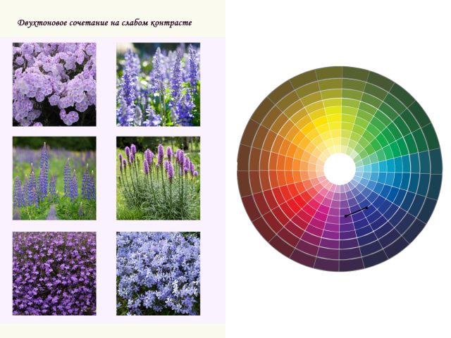 Двухтоновое сочетание на слабом контрасте тона