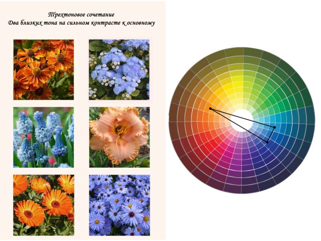 Трехтоновое сочетание: два тона на сильном контрасте к основному