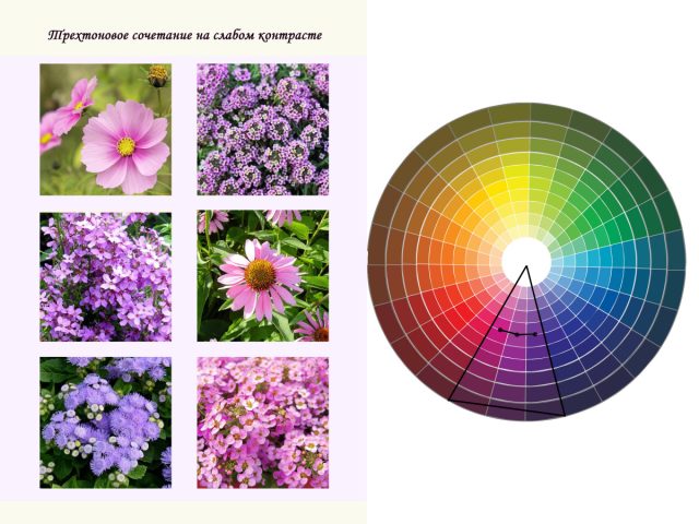 Трехтоновое сочетание на слабом контрасте тона