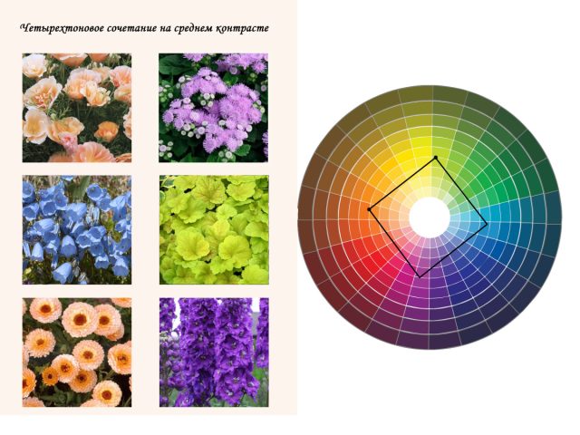 Четырехтоновое сочетание на среднем контрасте тона