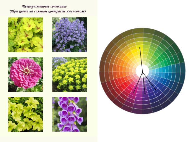 Четырехтоновое сочетание: три на сильном контрасте к одному
