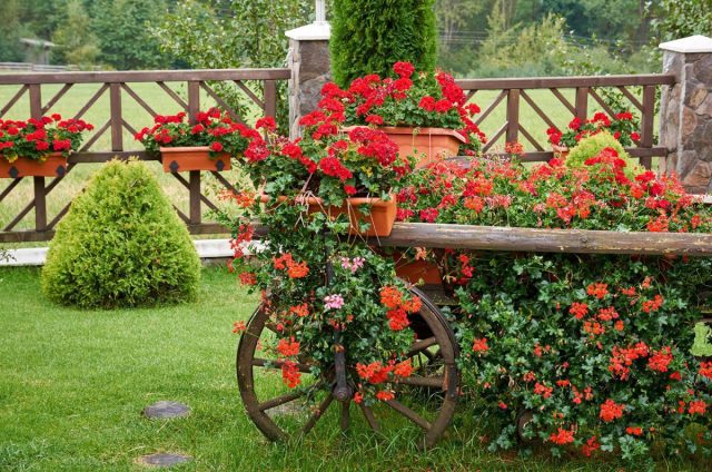 Миксбордер в красных тонах — композиция еще более эффектная и заметная