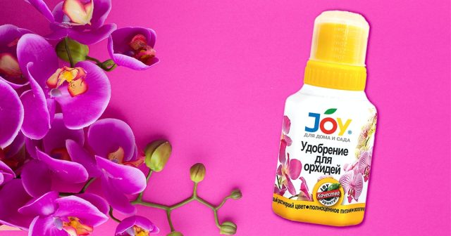 Поддержать в зимнее время любые виды орхидей вам поможет эликсир JOY «ЭКСТРА цветение» Поддержать в зимнее время любые виды орхидей вам поможет эликсир JOY «ЭКСТРА цветение»