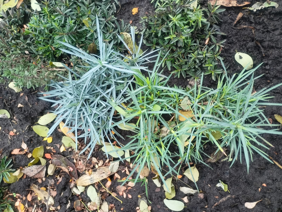 whatsapp-image-2023-12-07-at-10.40.50