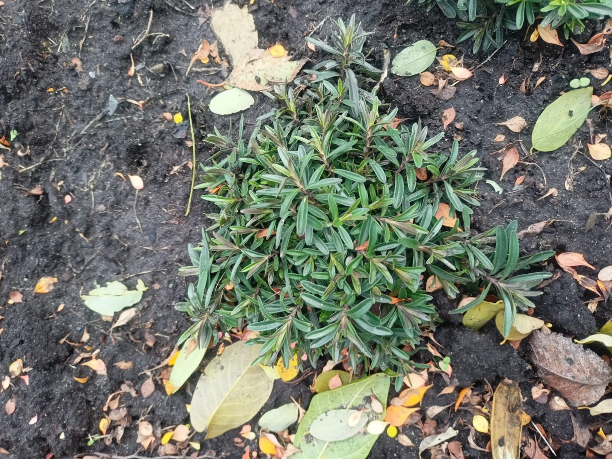 whatsapp-image-2023-12-07-at-10.40.51