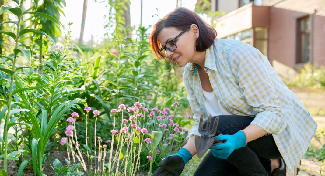 10 многолетников, которые меня приятно удивили в прошлом сезоне 10 многолетников, которые меня приятно удивили в прошлом сезоне