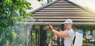 7 дел на участке, которые не стоит делать самостоятельно