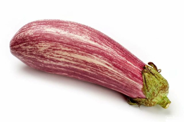 Среднеспелый сорт баклажанов «Полосатый рейс» фиолетового цвета с частыми белыми полосками Среднеспелый сорт баклажанов «Полосатый рейс» фиолетового цвета с частыми белыми полосками