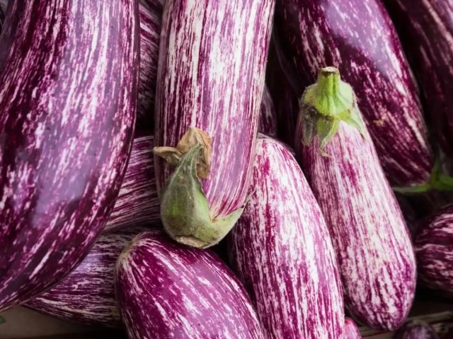 «Мраморный» - раннеспелый высокоурожайный сорт полосатых баклажанов «Мраморный» - раннеспелый высокоурожайный сорт полосатых баклажанов