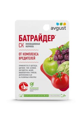 «Батрайдер» «Батрайдер»