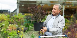 Чем и кому угрожает рассада и саженцы из магазина — протоколы безопасности садовода