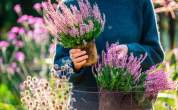 13 идей для сада в 2024 году от ландшафтного дизайнера Лучшие идеи для сада в 2024 году — советы ландшафтного дизайнера