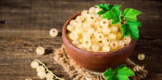 Лучшие сорта белой смородины для средней полосы и Подмосковья - Плодовые деревья и кустарники Лучшие сорта белой смородины для Московской области и средней полосы