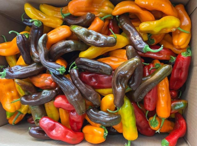 Разнообразие расцветок открывают широкие возможности для креативных сочетаний в составе различных блюд Разнообразие расцветок открывают широкие возможности для креативных сочетаний в составе различных блюд