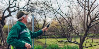 Спасите свой урожай от вредителей: комплексные меры борьбы