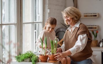 Ваш ребёнок полюбит растения — фрукты для выращивания с детьми Волшебные растения: как заинтересовать ребенка садоводством