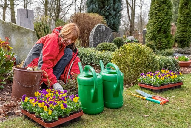 Родительский день — какие цветы посадить на кладбище?
