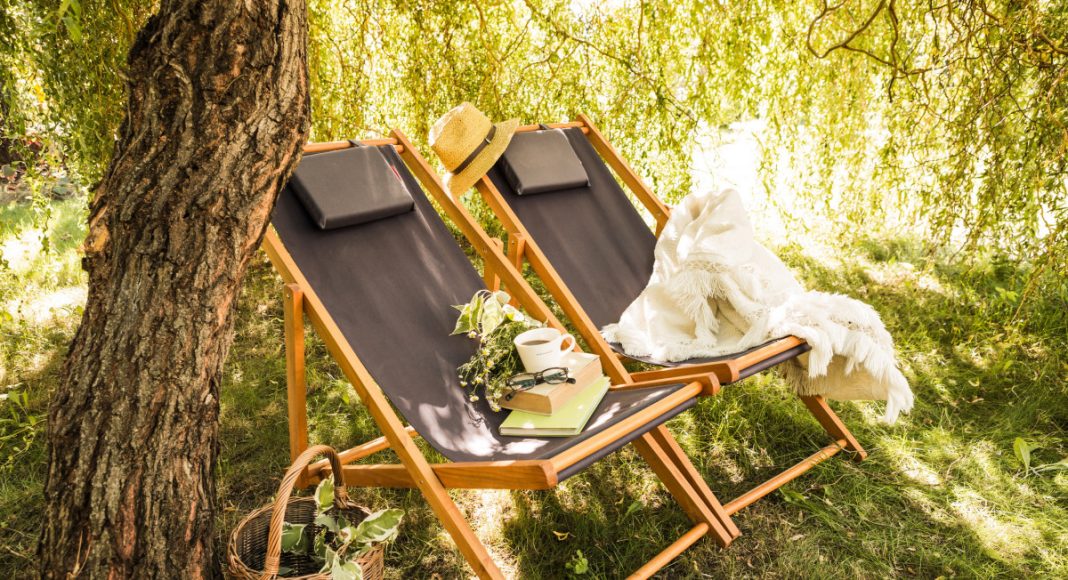 5 лучших идей для оформления тенистого сада — советы ландшафтного дизайнера 5 лучших идей для оформления тенистого сада — советы ландшафтного дизайнера