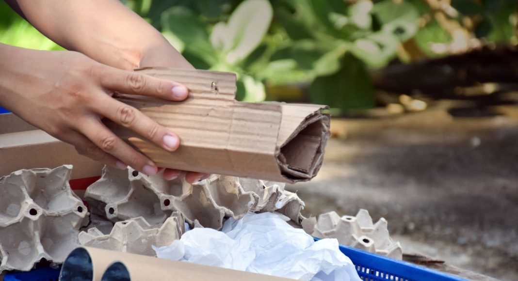 Боремся с сорняками обычной бумагой — эффективные методы и лайфхаки Боремся с сорняками обычной бумагой — эффективные методы и лайфхаки