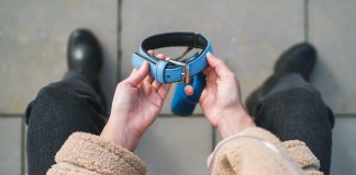 Как преодолеть боязнь собак? Простые правила взаимодействия с животным