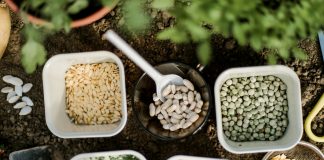 Что посеять в конце июня? Используем огород на максимум