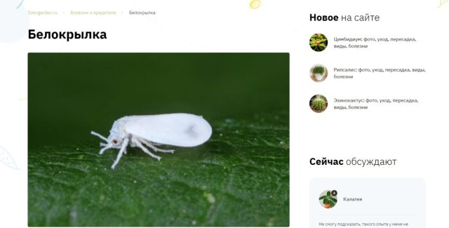 Иллюстрации статей помогают узнавать вредителей и болезни «в лицо». Иллюстрации статей помогают узнавать вредителей и болезни «в лицо».