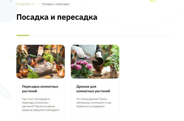 В разделе «Посадка и пересадка» подробно описываются нюансы процесса. В разделе «Посадка и пересадка» подробно описываются нюансы процесса.