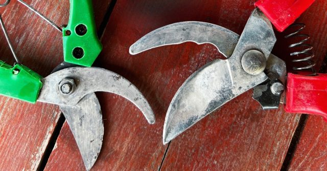 Если на инструменте остались следы ржавчины, повторите процесс нанесения средства до полного удаления коррозии.