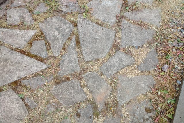 Обработка гербицидом — наиболее эффективный метод, но для этого способа чистки нужно запастись терпением на два этапа.