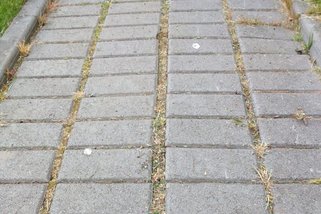 В отличие от распылителя, щёткой безопасно обрабатывать места, соседствующие с культурными растениями.