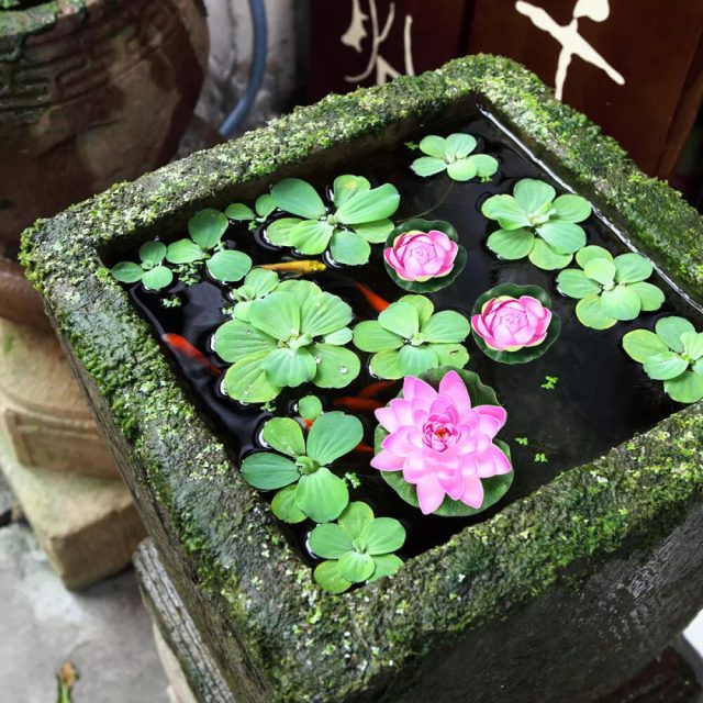 Если обычный пруд вам не подходит по каким-либо причинам, то в этом случае можно создать иллюзию воды